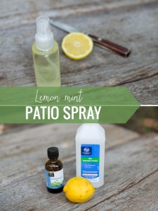 Lemon Mint Patio Spray